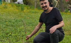 150 fidan toprakla buluştu