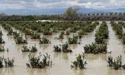 Mersin’de üreticilere kritik uyarı