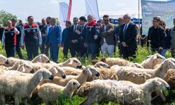 Adana’da hayvancılığa destek projesi tanıtıldı