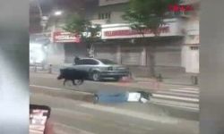 Kent merkezine domuz indi: 3 kişiyi yaraladı