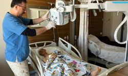 13 köpek, 5 ve 10 yaşındaki çocuklara saldırdı