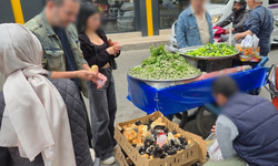 Kuvayi Milliye Caddesinde satışı yasak civciv tezgahları