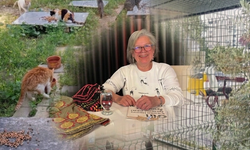 Aynur Öğretmen, sokaktaki canlara sahip çıkıyor