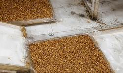 Kötü koku ihbarı yapılan evde lokum üretildiği ortaya çıktı