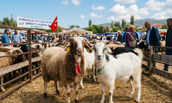 2026 Mersin kurbanlık tavsiye fiyatları belli oldu