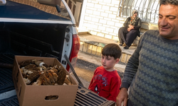 Mersin dağlarında kuzugöbeği bereketi