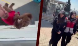 Köpeği camdan sarkıtan kadın yakalandı