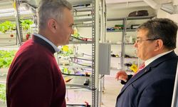 Mersin’de kontrollü ortamda kesintisiz çilek üretimi yapılıyor