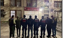 Kablo ve telefon direği hırsızlığına 3 tutuklama