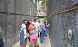 Mersin Büyükşehir’den emeklilere sosyal hayat desteği