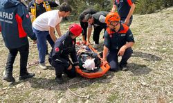 Uçuruma düşüp yaralandı, ekiplerin ortak çalışmasıyla kurtarıldı