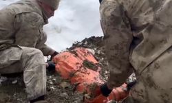 Van ve Hakkari'de 446 kilo uyarıcı madde ele geçirildi