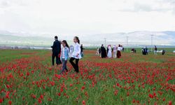 15 günlük görsel şölen: Doğa kırmızıya büründü