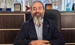 Uzmandan uyarı: Mersin’de deniz anaları artıyor