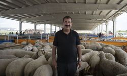 “Vekalet Verilen Kurumlara Dikkat Edilmeli”