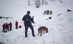 4 ay önce çığ altında kalan çoban için arama 2’nci gününde