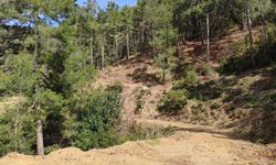 Anamur, Kızılaliler’de boksit ve beton kıskacı