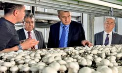 Yeşil enerjiyle büyüyen üretim: Toroslar’da başarı hikayesi