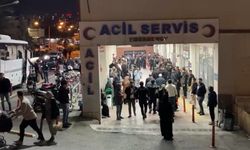 Arazi anlaşmazlığı nedeniyle iki üvey kardeşini öldürdü