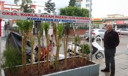 Annesinin hatırası için 40 yıldır reyhan yetiştiriyor