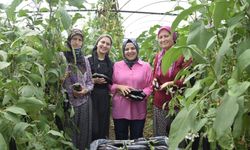 Nineden toruna aile ekonomisine katkı sağlıyorlar