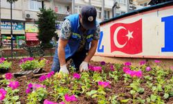 Akdeniz’de 50 bin çiçekle bahar hazırlığı