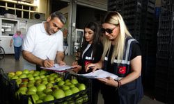 Kurban Bayramı öncesi Mersin hallerinde sıkı denetim