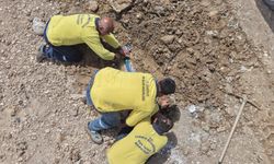 30 dönümlük alanda kurban satışları için hazırlık