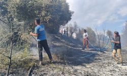Ormanlık alanda yangına vatandaşlar koştu