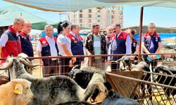 Mersin’de Kurban Bayramı öncesi satış noktalarında sıkı denetim