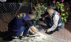 Zehir tacirlerine operasyon düzenlendi