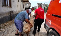 Tarsus Belediyesi, şehit ailelerine kurban desteğinde bulundu