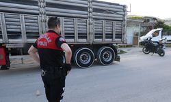Kurban pazarı tartışması kanlı bitti