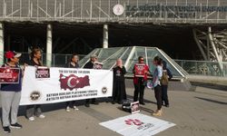 Güvercin ölümlerini durdurmak için sonar sistemi kurulacak