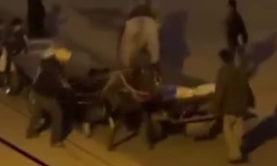 Atlara işkence kamerada