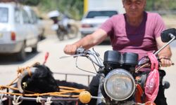 Kurbanlıklar otomobil koltuklarında taşındı