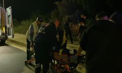 Bursa'da otomobil zeytinliğe uçtu: 2'si çocuk 4 yaralı