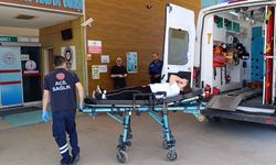 Bursa'da triportör devrildi; 1'i çocuk 3 yaralı