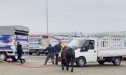Kaçan boğa vatandaşlara korku dolu anlar yaşattı
