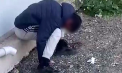 Genci zehirleyenlere polis operasyonu