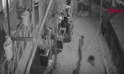 Köpeğini demir sopayla vurarak öldürdü