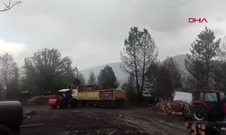 Ormanda çalışan işçilerin yanına yıldırım düştü