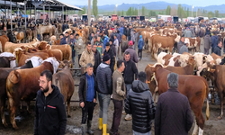 Türkiye’nin en büyük canlı hayvan pazarında bayram hareketliliği