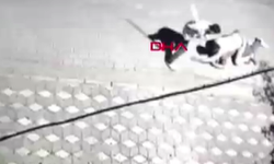 Üniversite öğrencisine sopalı ve bıçaklı saldırı