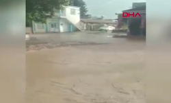 Dereler taştı, yerleşim yeri sulara teslim oldu
