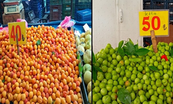 Mersin pazarlarında yaz meyvesi hareketliliği