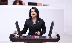 CHP'li Kış: "Gençler artık hayal kuramıyor"