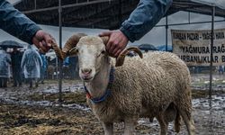 Bayram planı yapacaklar dikkat: Yağışlı hava bekleniyor