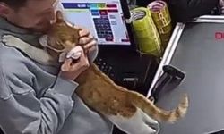 Sahibine her gün sarılan kedi görenleri gülümsetiyor