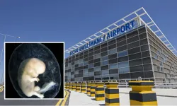 4 Embriyo ile Yurt Dışına Çıkış Girişimi: 3 Tutuklama